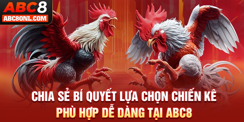 Chia sẻ bí quyết lựa chọn chiến kê phù hợp dễ dàng tại ABC8