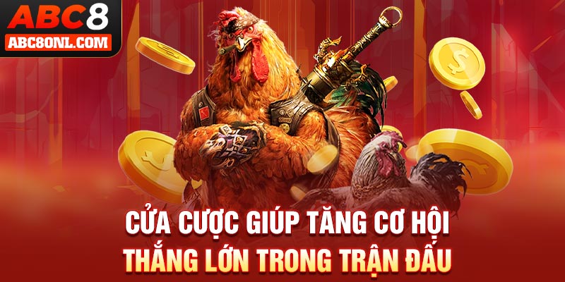 Cửa cược giúp tăng cơ hội thắng lớn trong trận đấu