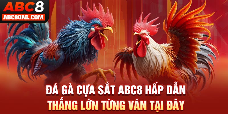 Đá Gà Cựa Sắt ABC8 Hấp Dẫn - Thắng Lớn Từng Ván Tại Đây