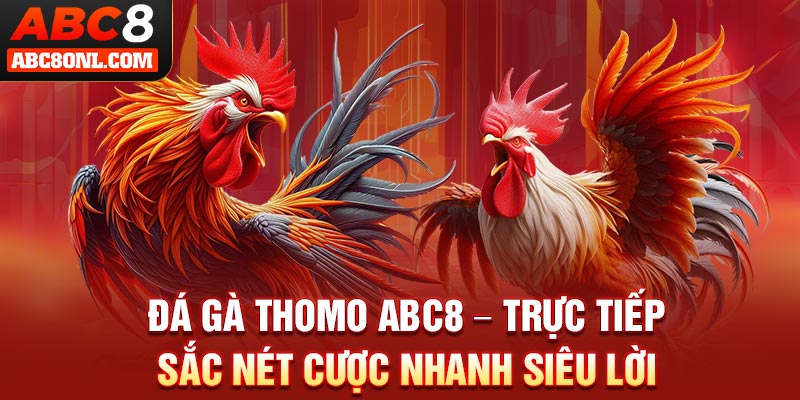 Đá Gà Thomo ABC8 – Trực Tiếp Sắc Nét Cược Nhanh Siêu Lời