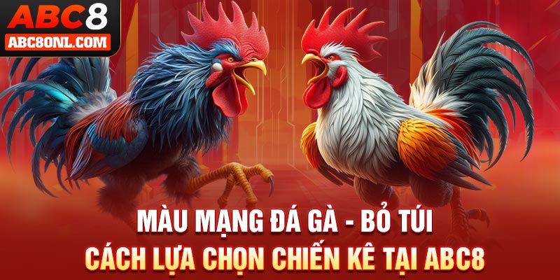 Màu Mạng Đá Gà - “Bỏ Túi” Cách Lựa Chọn Chiến Kê Tại ABC8