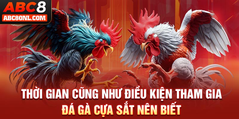 Thời gian cũng như điều kiện tham gia đá gà cựa sắt nên biết