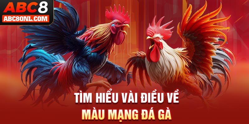Tìm hiểu vài điều về màu mạng đá gà