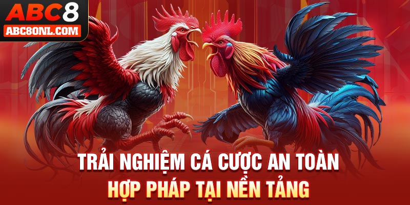 Trải nghiệm cá cược an toàn hợp pháp tại nền tảng